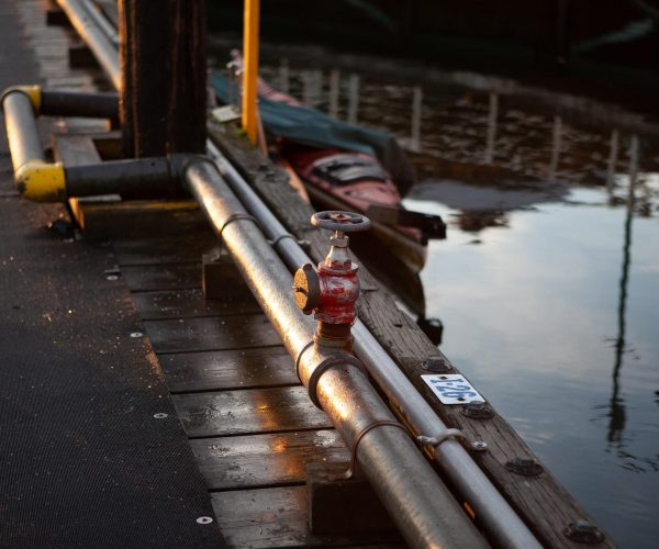 rick-hyne-3VMCVFPADgo-unsplash rick-hyne-3VMCVFPADgo-unsplash